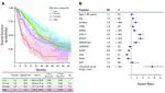 Harnessing Clinical Sequencing Data for Survival Stratification of Patients With Metastatic Lung Adenocarcinomas