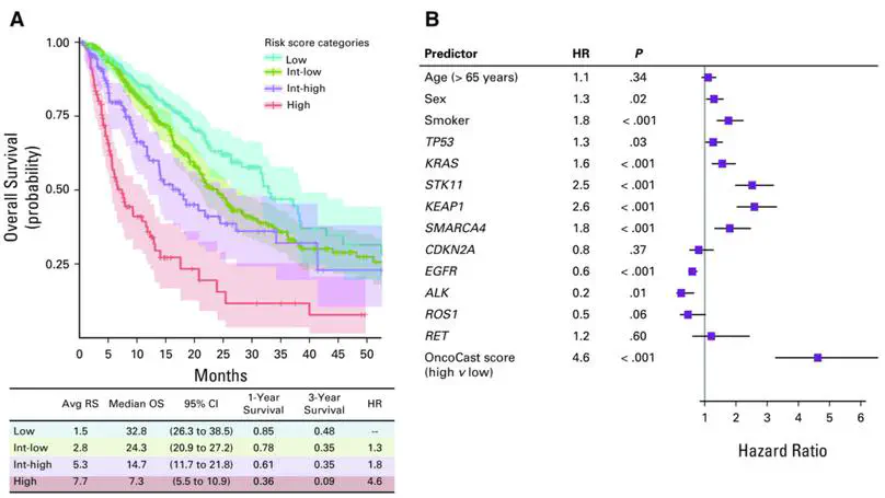 Harnessing Clinical Sequencing Data for Survival Stratification of Patients With Metastatic Lung Adenocarcinomas